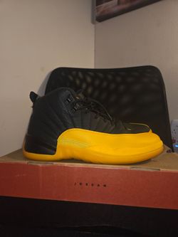 Air jordan 12