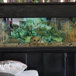 60 gal tank