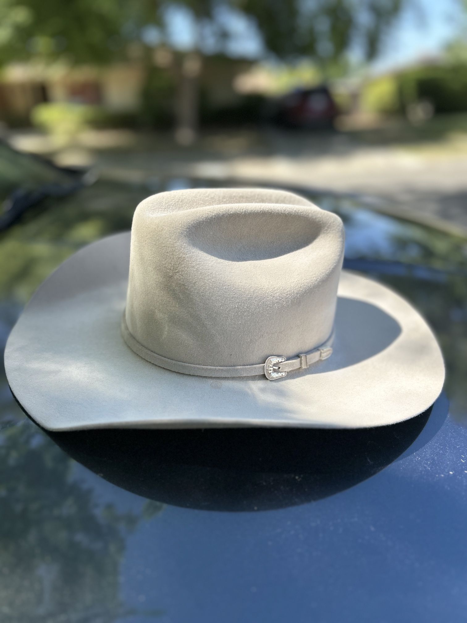 Stetson Silver Belly 6X Skyline