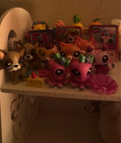 8 LPS / 6 accessories