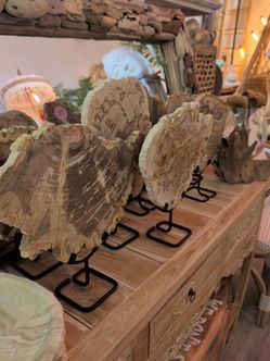 Petrified Wood Slice on Metal Stand