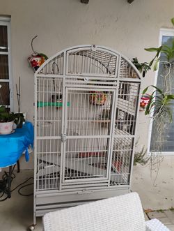 birdcage- Jaula para Pájaros