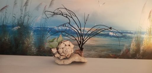 Seashell Creation Artificial Succulent 