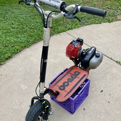 GoPed GSR 40 TSI Trevor Simpson Limited Edition MAD-DOG $1200 FIRM!