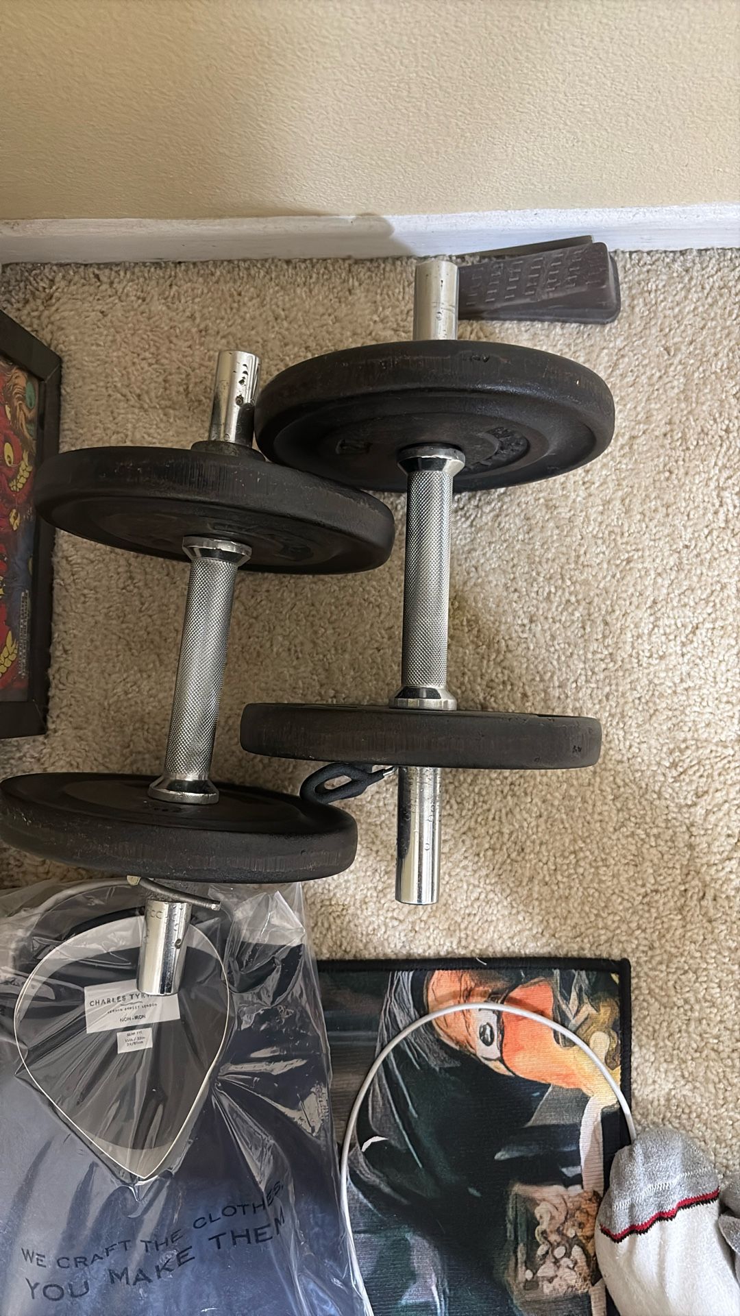 20 lb dumbbells