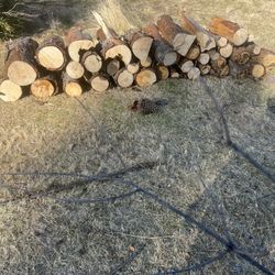Pine Firewood 