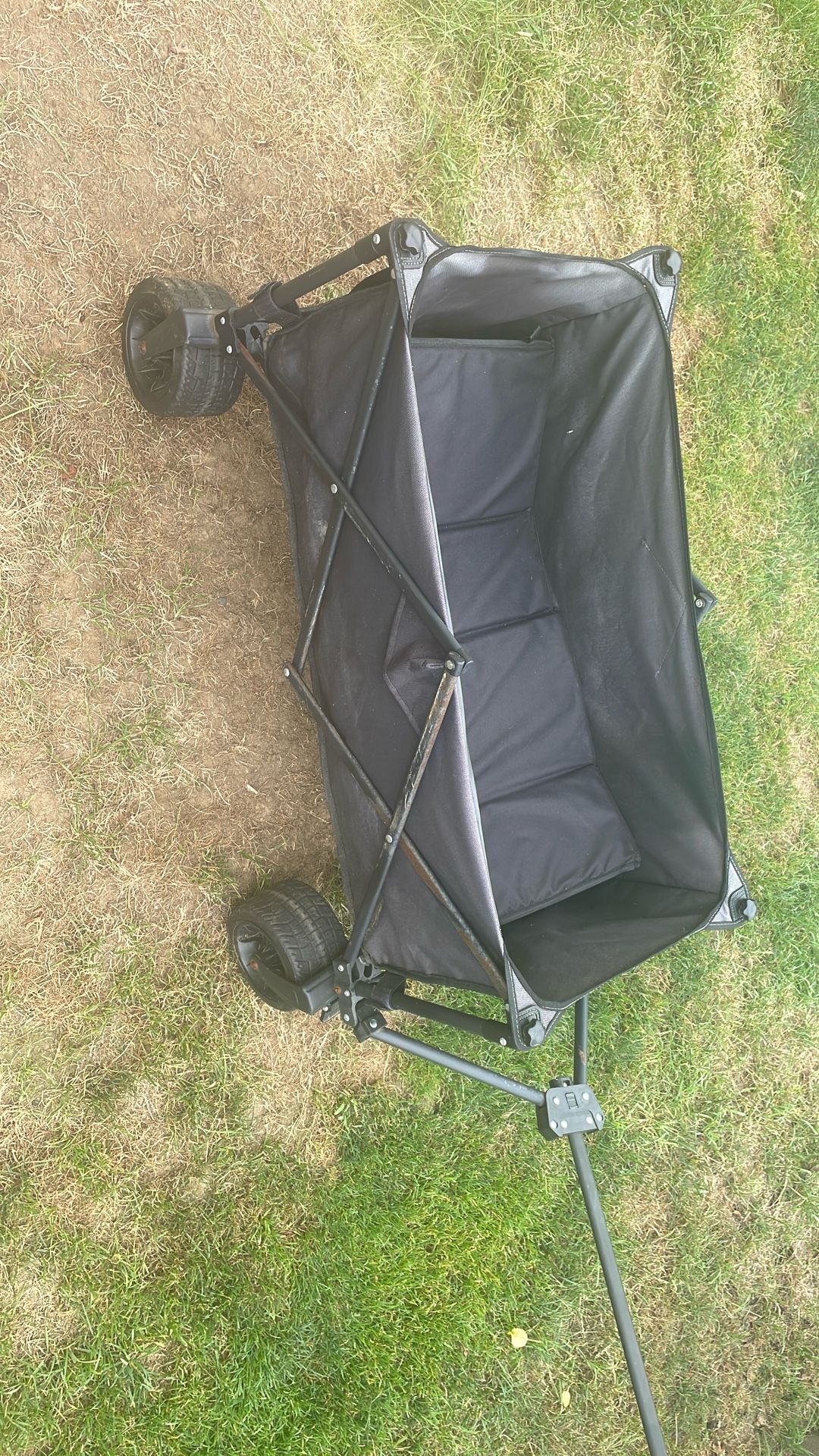 Wagon