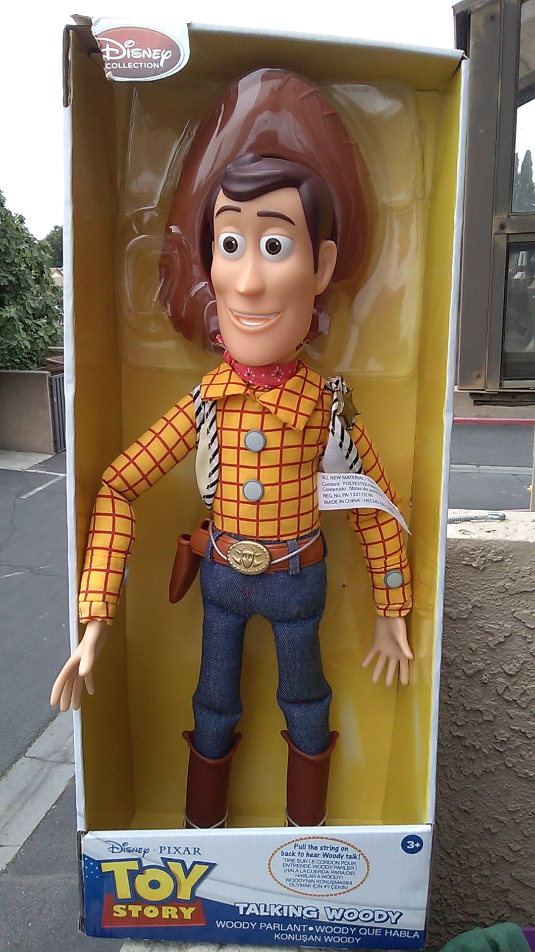 Talking Woody