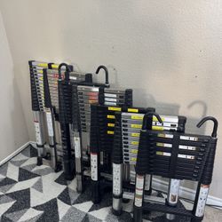 10.5ft Telescoping Ladder With Hooks