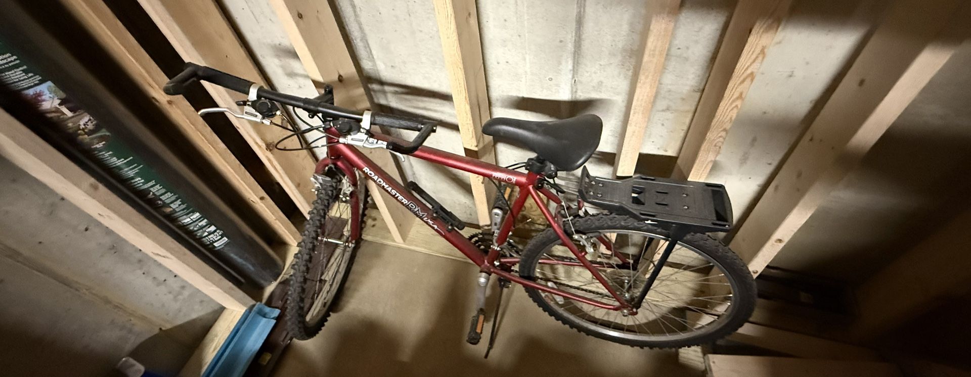 Mens Bicycle.