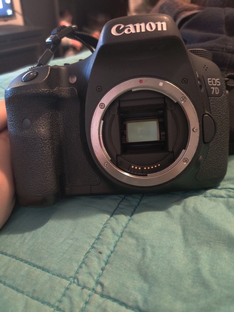 Canon 7D (body only)