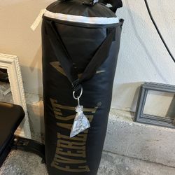 Everlast Heavy Bag 