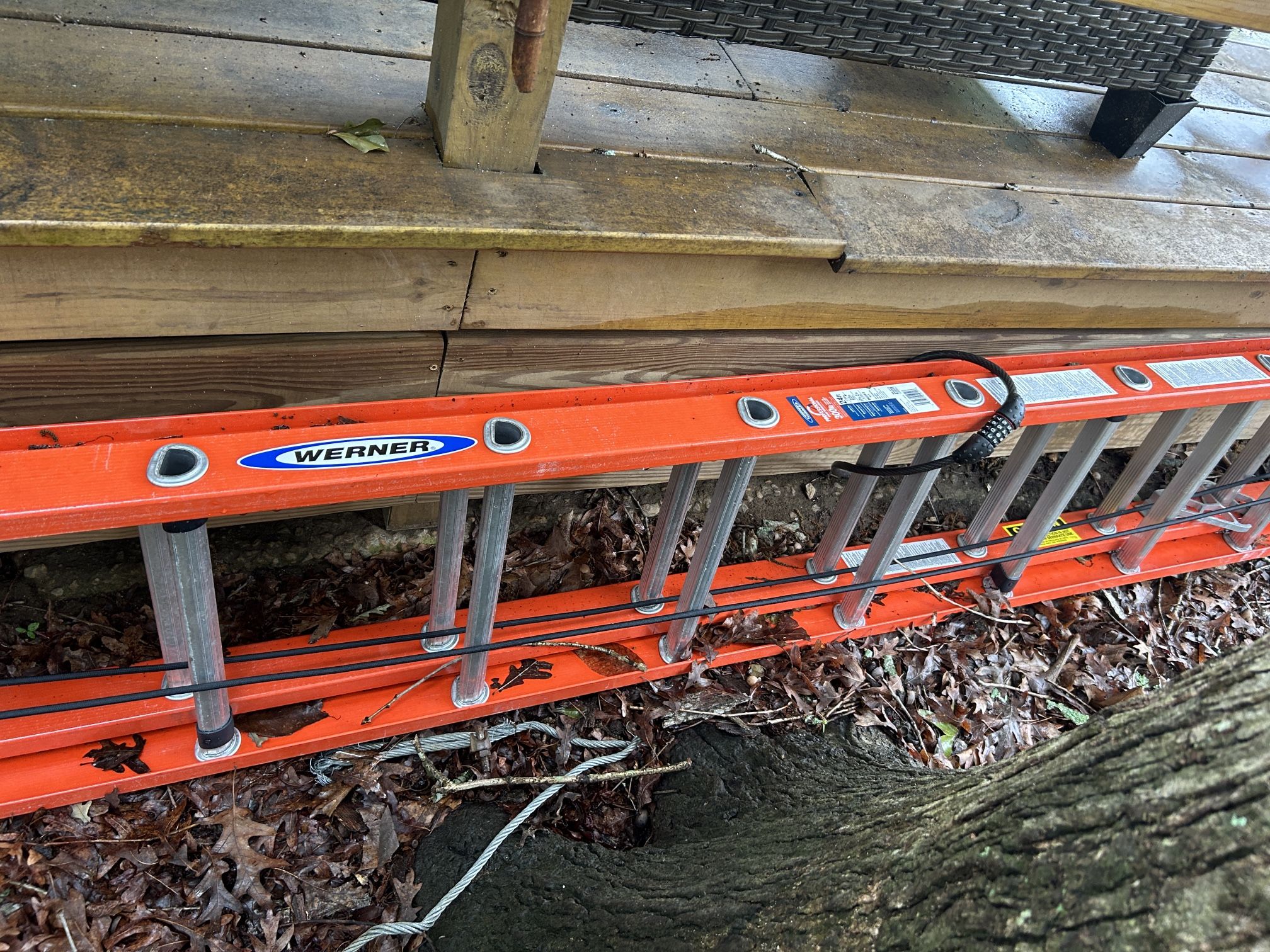 Extension Ladder
