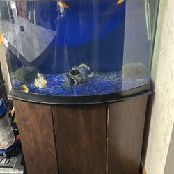 36 Gallon Bowfront Fish Tank Aquarium