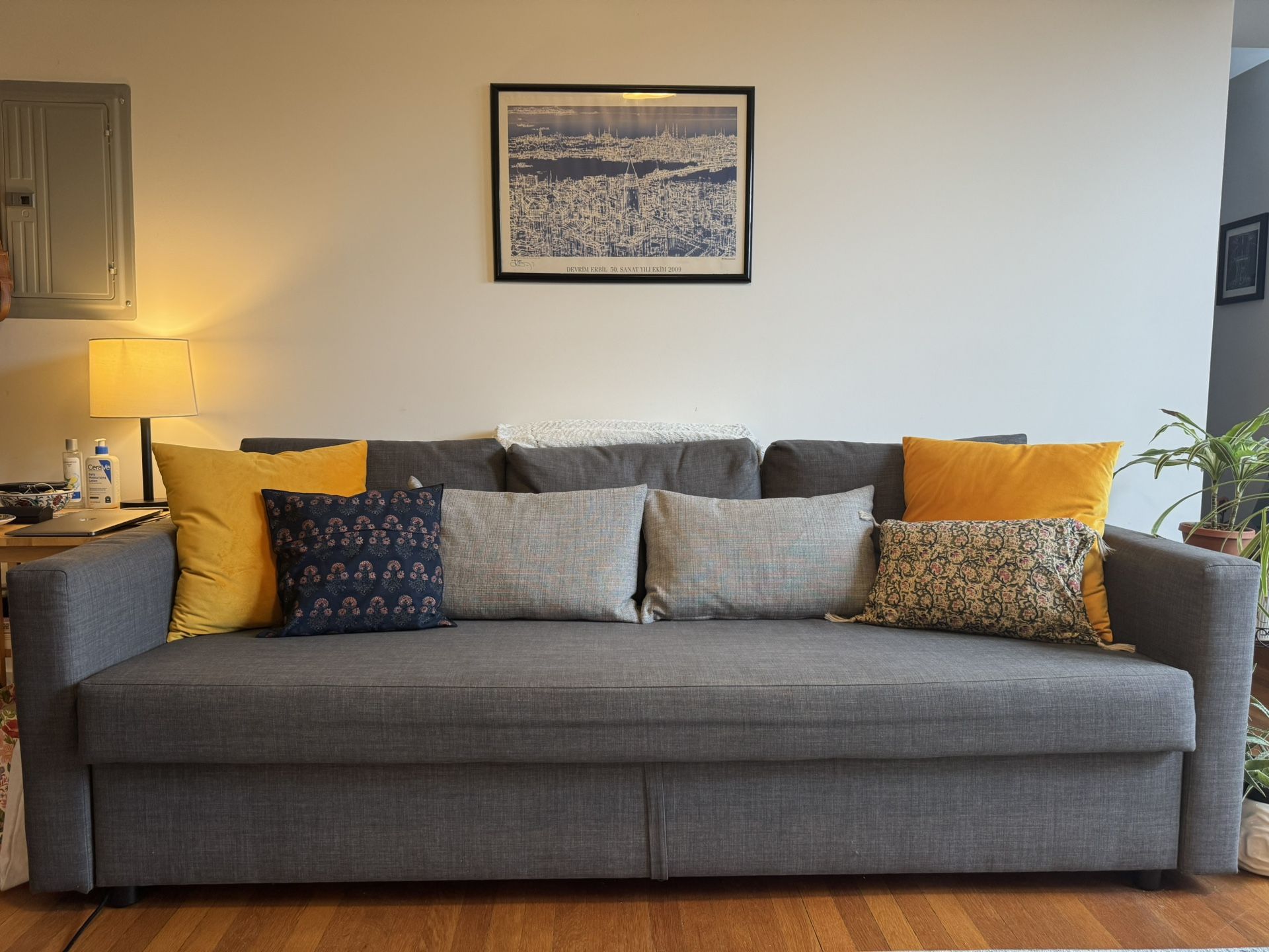 🛋️ IKEA Friheten Sleeper Sofa – Dark Gray