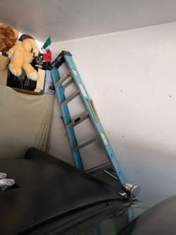 approx 10' or 12 foot Werner Ladder