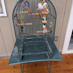 Parrot Bird Cage