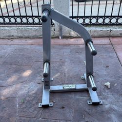  Hammer Strength Weight Tree