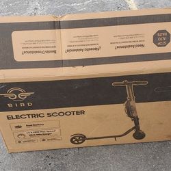 Bird Scooter
