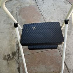 Costco Two Step Folding Ladder 