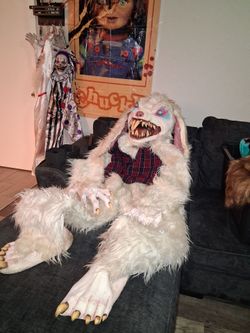 Rabbit costume