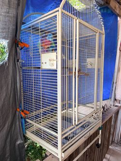 Parrot large cage
