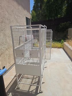 Big bird cage