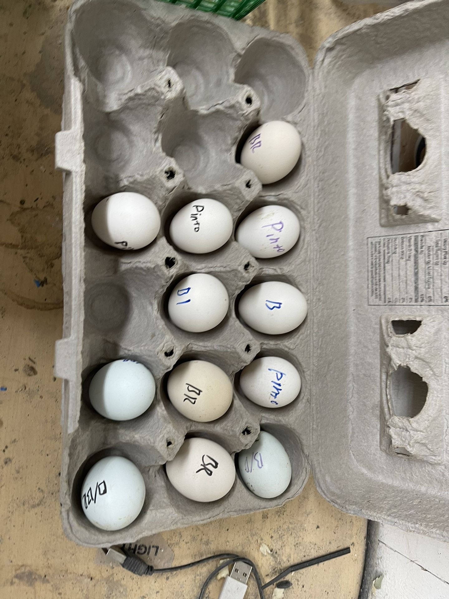 Kikiriki Azteca Eggs