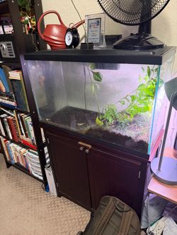 Fish tank
