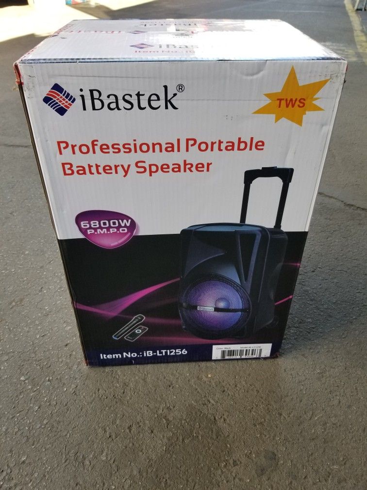 Ibastek 12" Speaker