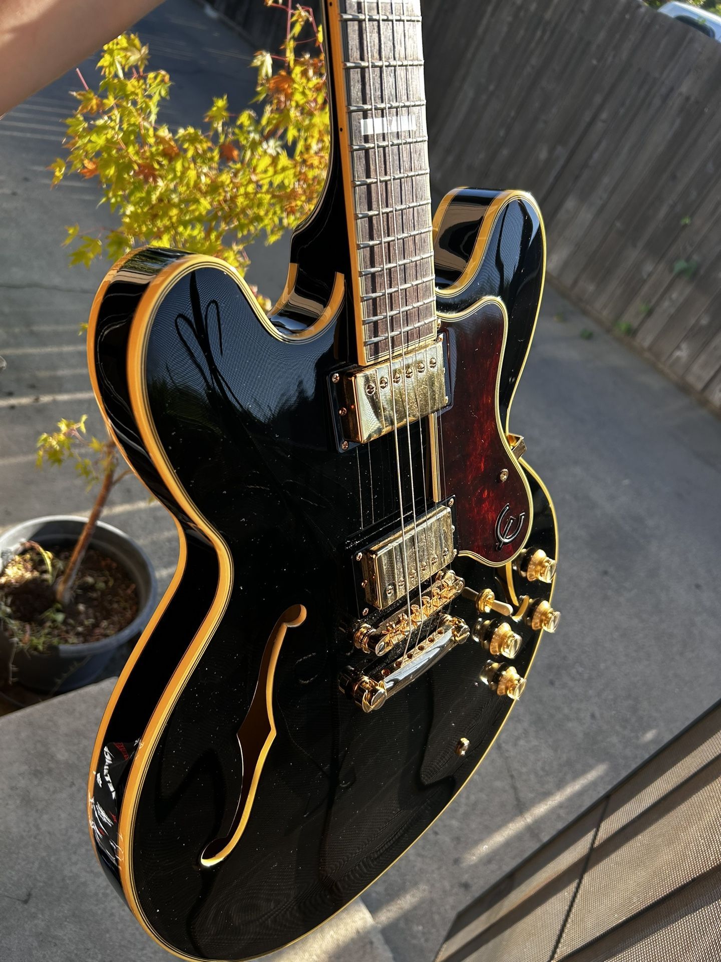 Epiphone Sheraton II Pro