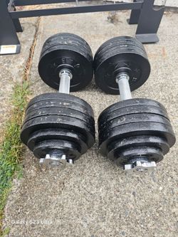 Dumbells Weights 52.5lbs