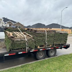 Grass Sod 