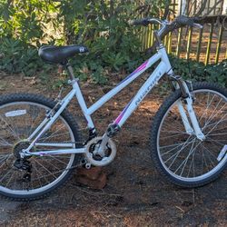 Nishiki Pueblo 17" Medium Frame Step Through Hardtail Mountain Bike