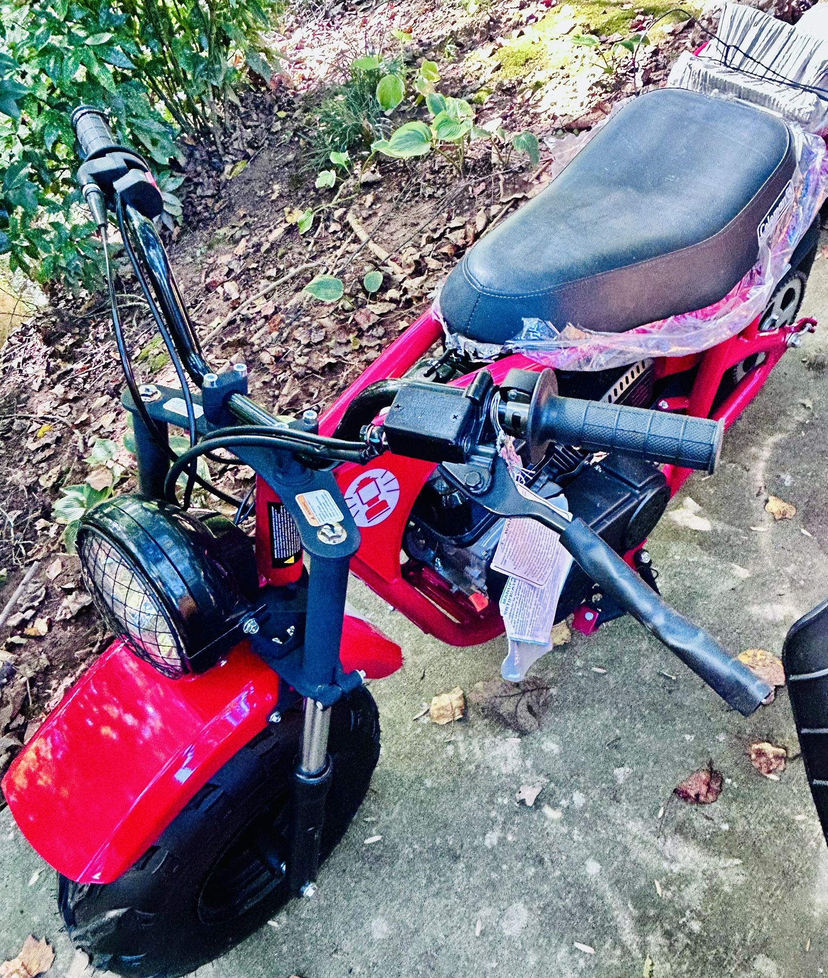 Gas Powered Mini Bike