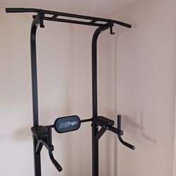 Pull-up & Dip Station