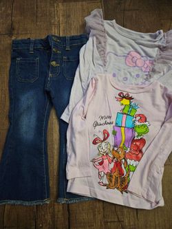 Toddler Girls Clothing Bundle size 2t