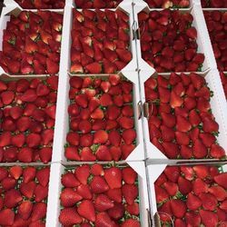 Big Strawberries Available For Valentine’s Day ❤️🍓