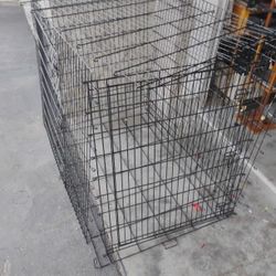 Dog Kennel🐕‍🦺🦴🐾