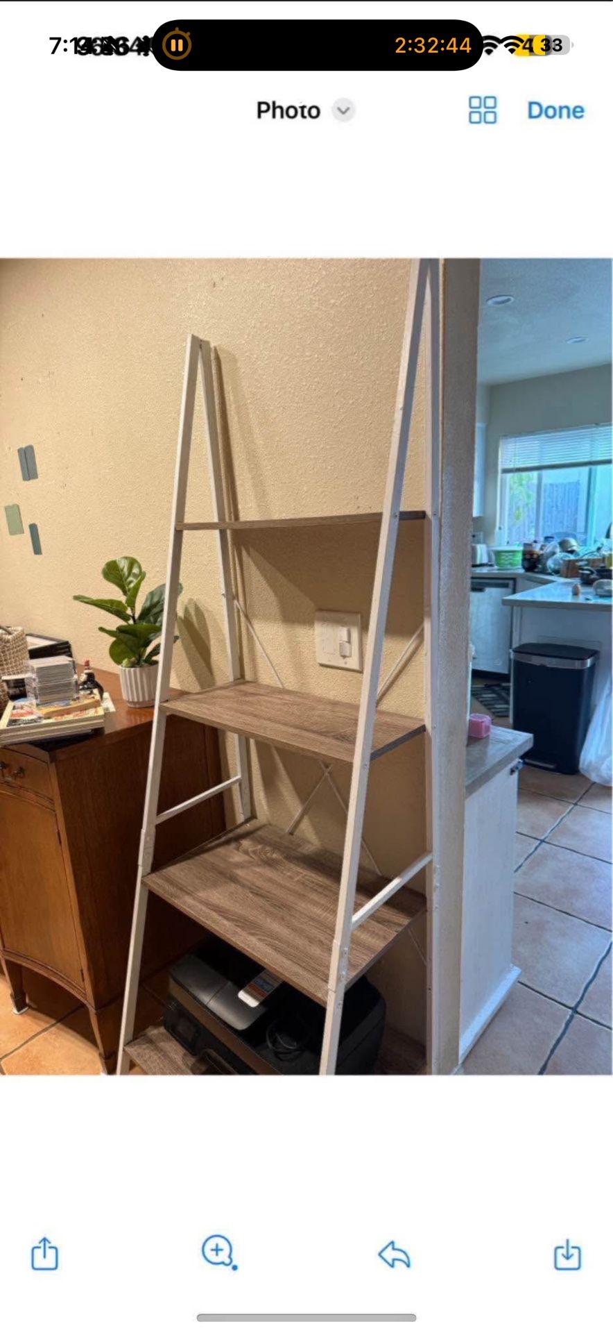 Ladder Shelf