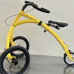 Alinker Walking Bike 