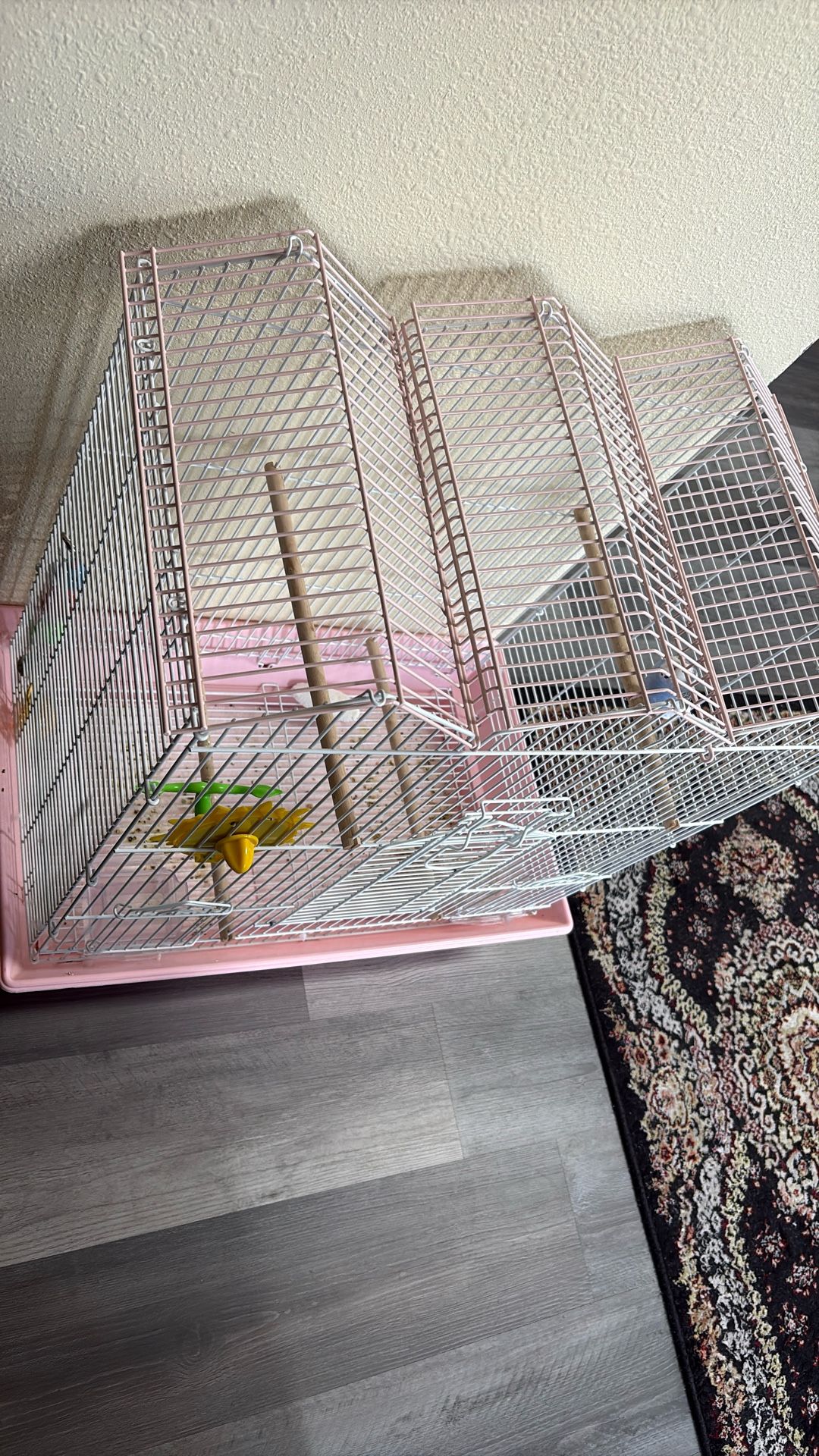 Bird Cage