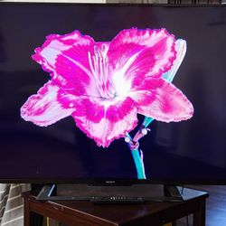 60" 4k UHD Smart LED TV 2017