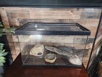Reptile tank
