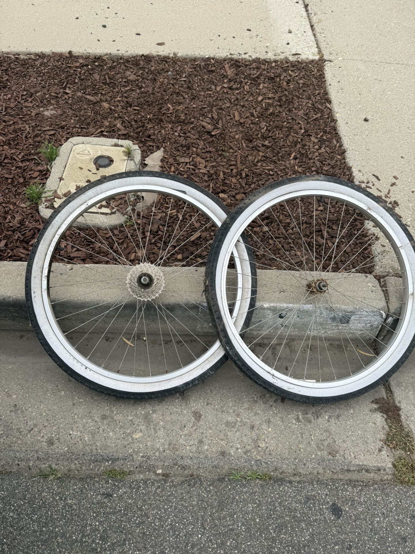 Beach Cruiser Rims