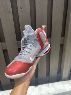 Lebron james clearance 9s
