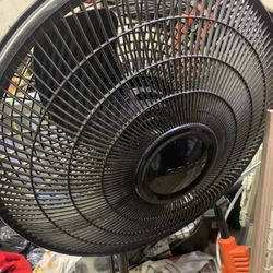 Fan