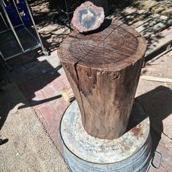 $100 Tree Stump End Table