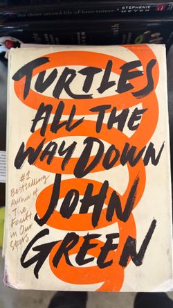 Turtles all the way down book