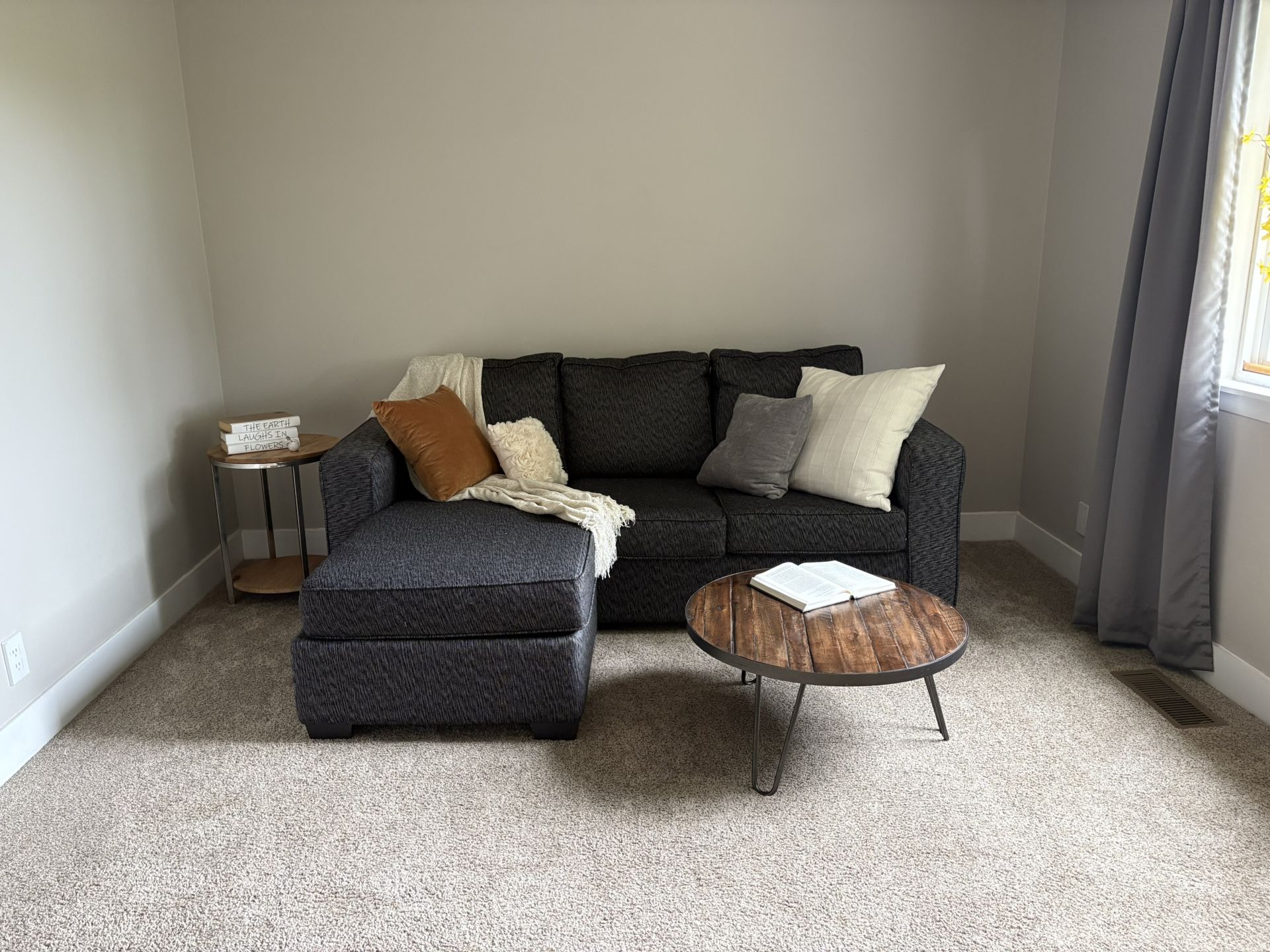 Pull Out Couch